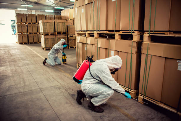 Best Ant Control Services  in Mcewen, TN