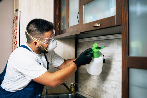 Best Termite Control Services  in Mcewen, TN