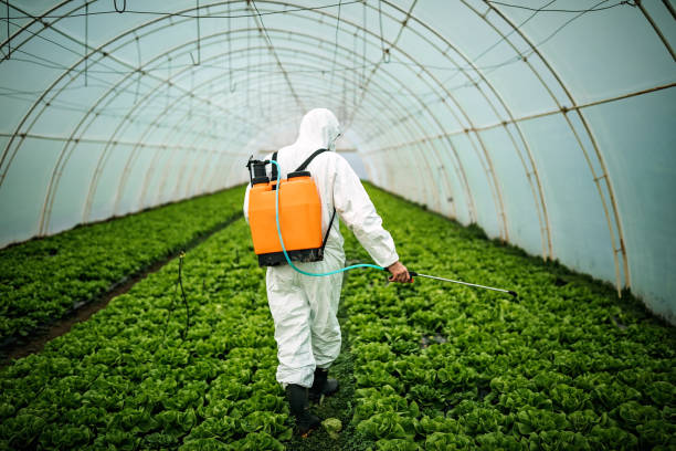 Best Affordable Pest Control Services  in Mcewen, TN
