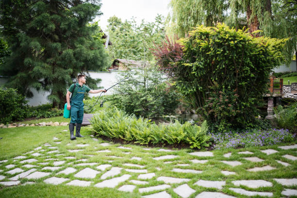 Best Commercial Pest Control Services  in Mcewen, TN