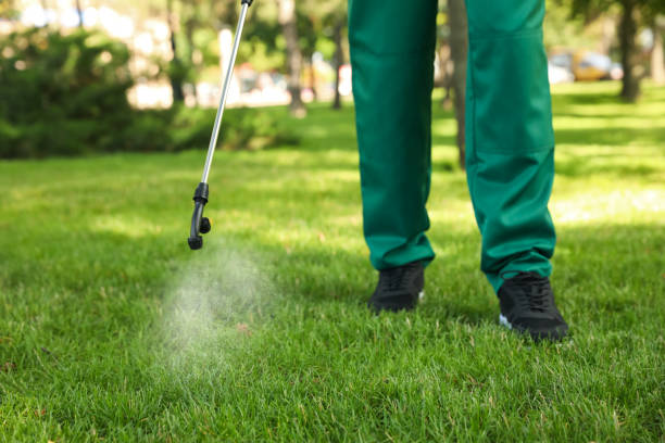 Best Cockroach Control Services  in Mcewen, TN
