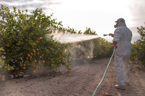 Best Pest Removal Services  in Mcewen, TN