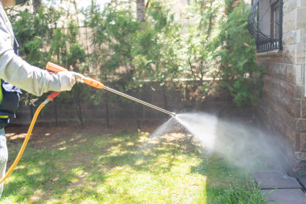Professional Pest Control in Mcewen, TN