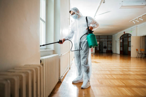 Best Mosquito Control Services  in Mcewen, TN