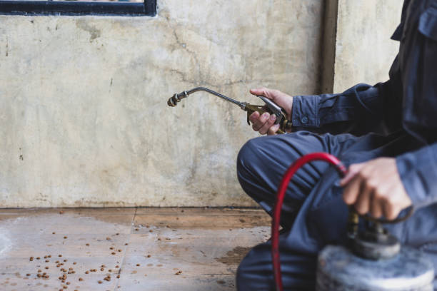 Best Best Pest Control Companies  in Mcewen, TN