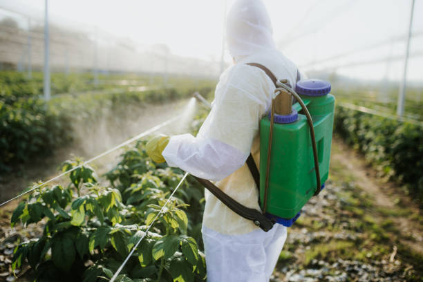Best Best Pest Control Companies  in Mcewen, TN
